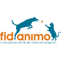 Findanimo